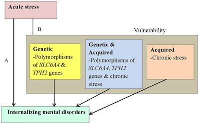 The 5-HTTLPR-rs25531 S-A-S-A Haplotype and Chronic Stress Moderate the Association Between Acute Stress and Internalizing Mental Disorders Among HIV+ Children and Adolescents in Uganda